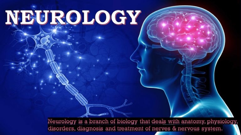 Classification of Nervous System: Pictorial Presentation - NeuroHealth