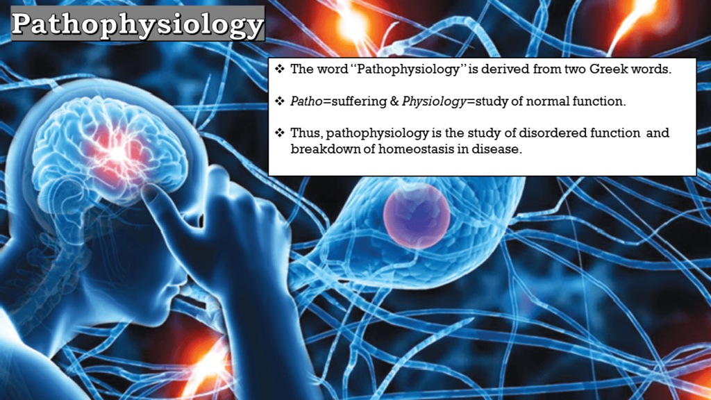 Neurology Pathophysiology