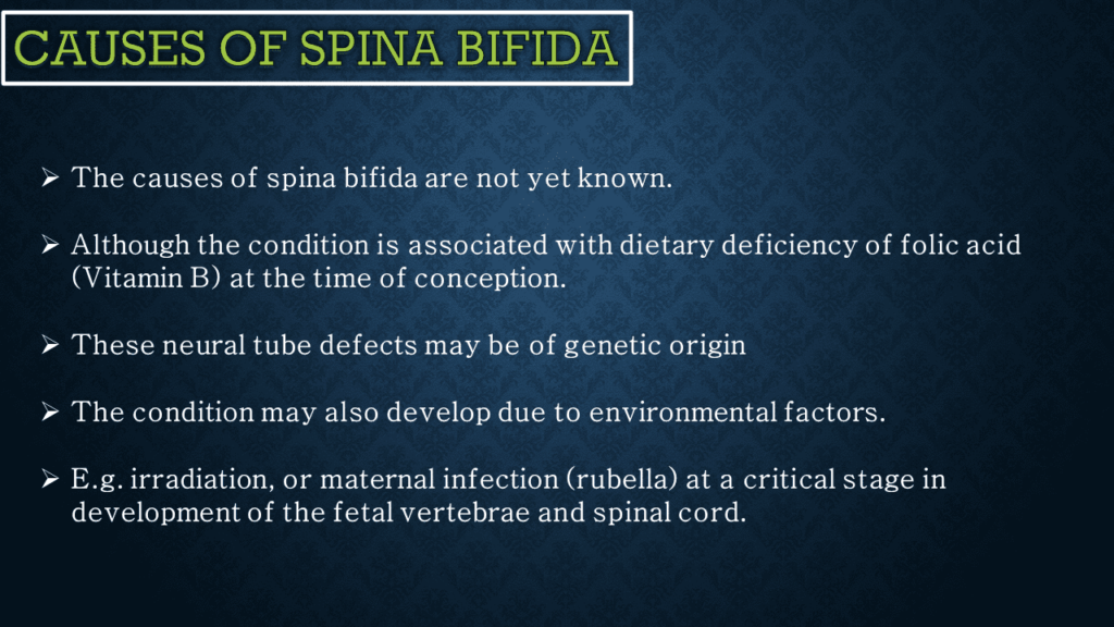 causes of Spina bifida